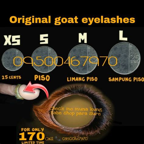 goat eyelashes ring|GOAT EYELASHES MADE IN REAL GOAT .
